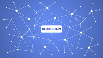 开云中国官网-英超青训采用虚拟现实技术强化战术理解与应变能力，英超试训