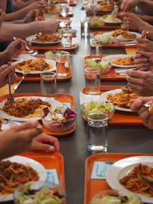 kaiyun开云·官方网站-高校运动员膳食营养优化，运动员营养与膳食