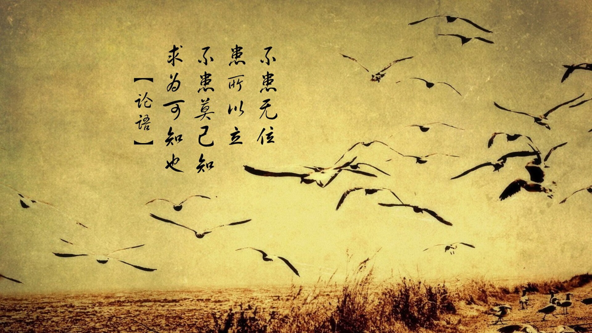 体育新闻中心推动体育赛事多角度高清直播技术,体育新闻现场直播