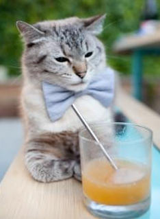 勒沃库森控球推进渗透对方防线,勒沃库森精选球员