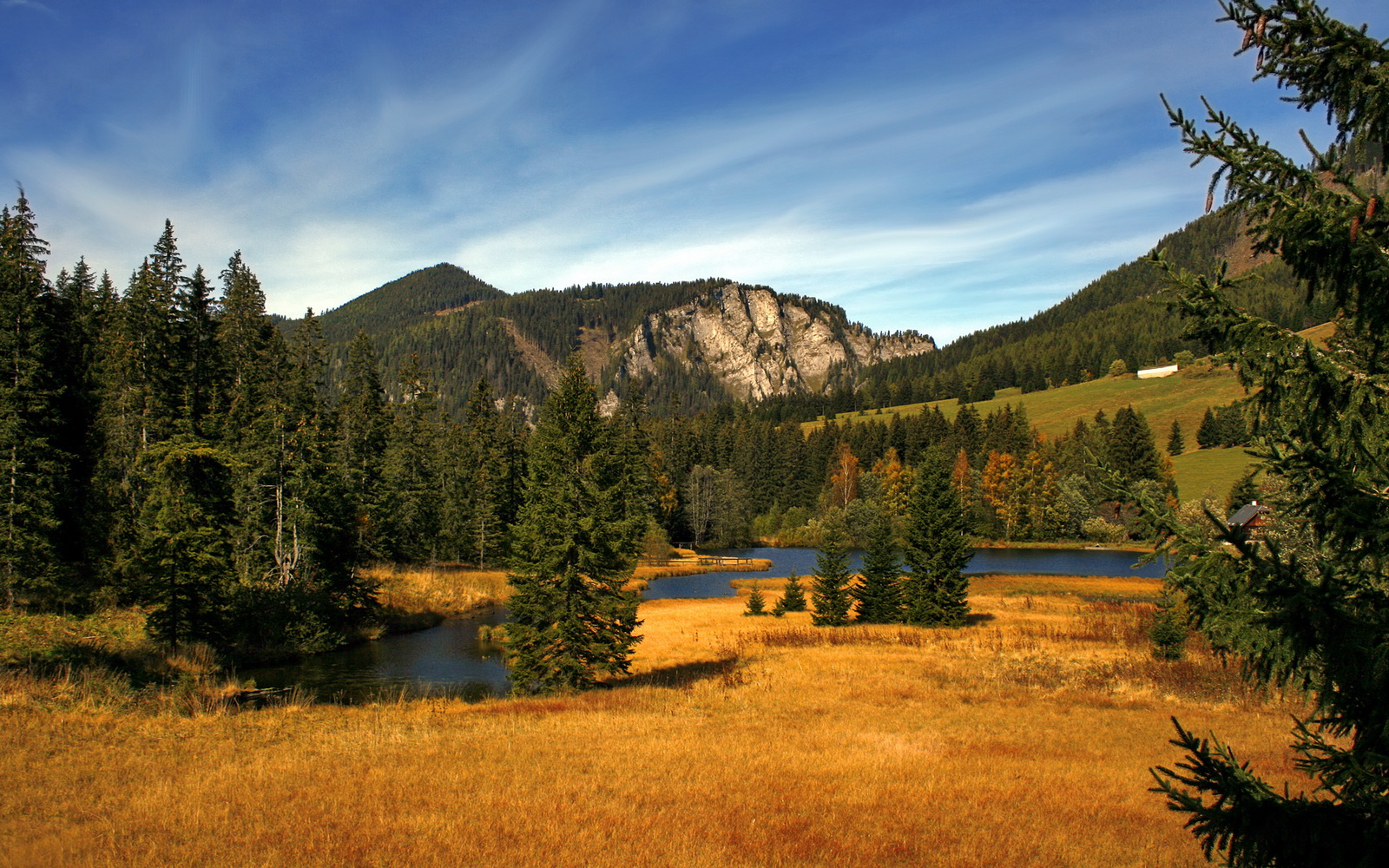 博卡青年展现韧性,但技术短板明显,博卡青年培养出的球星