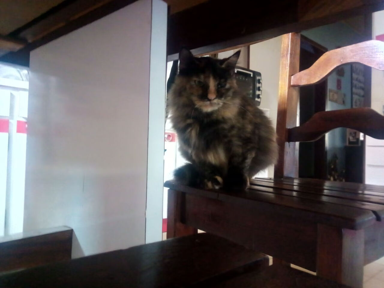 欧洲杯战术创新:多变阵型引领足球新风潮!,欧洲杯 阵型