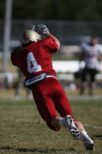 开云在线平台-冠军球队赛季告别仪式感人，感恩球员与球迷，球队夺冠怎么发朋友圈